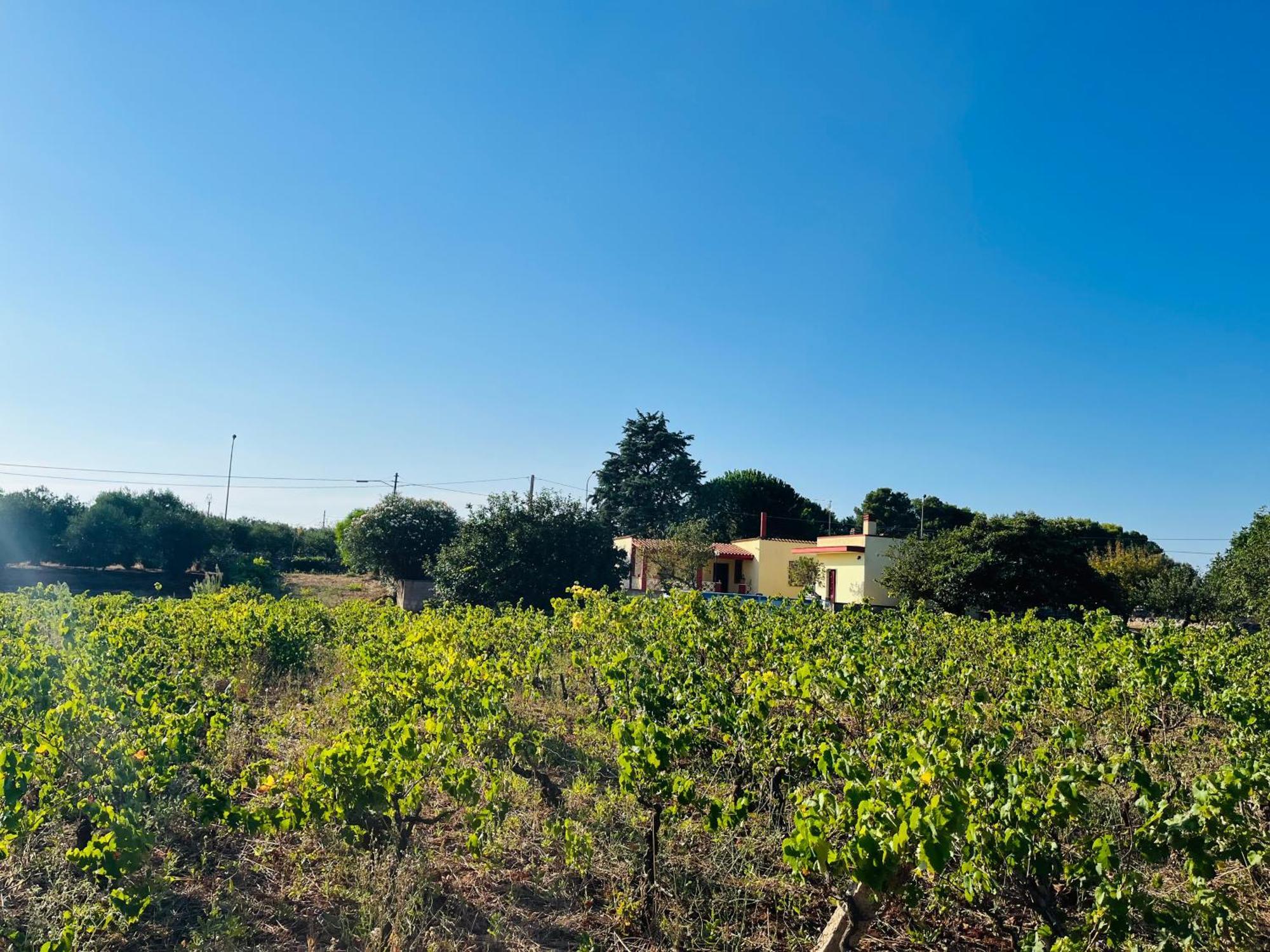 Villa Vallee D Itria Martina Franca Exterior photo