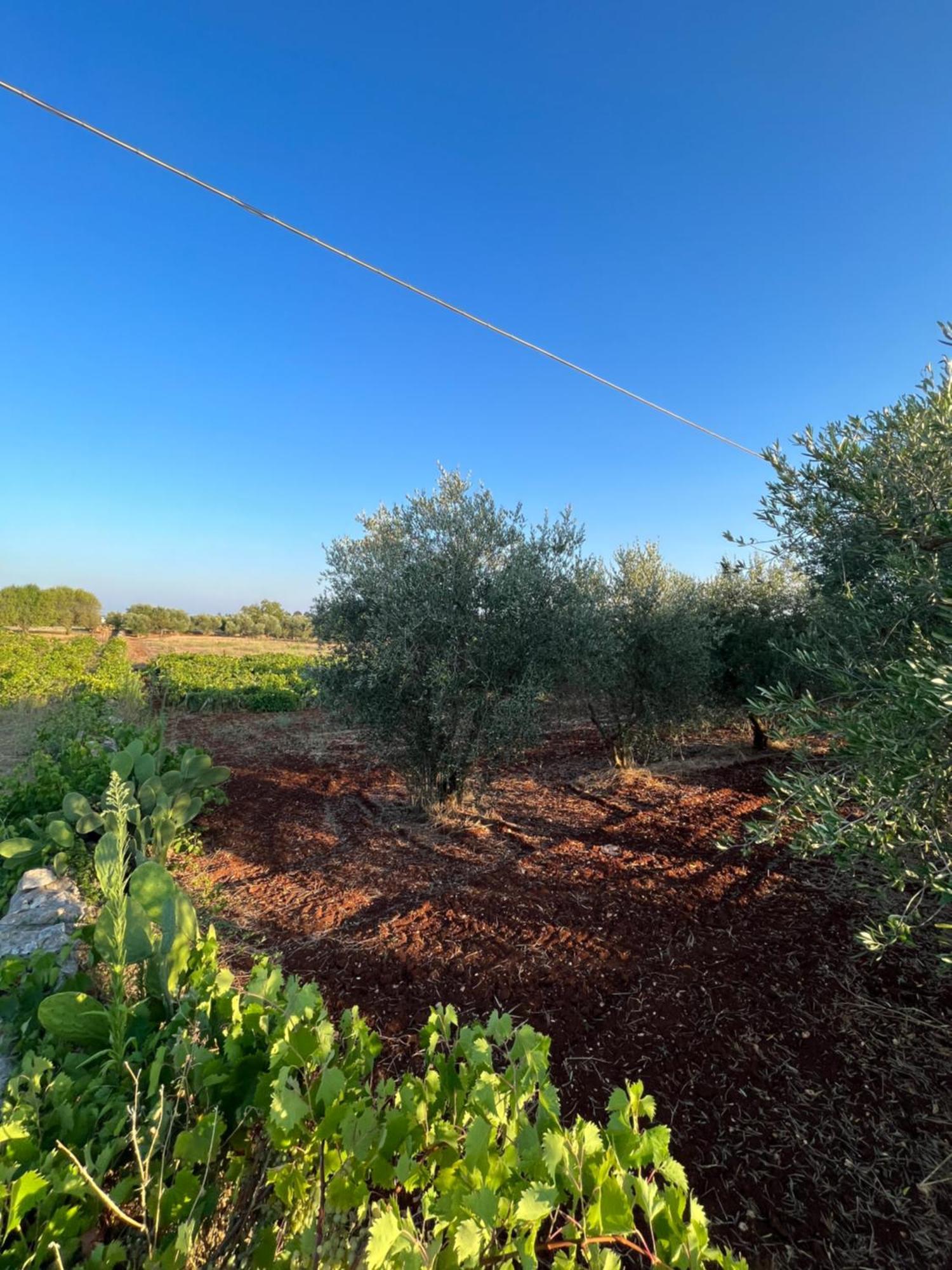 Villa Vallee D Itria Martina Franca Exterior photo